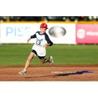 Dexter Bernoties races around the bases during the Victoria HarbourCats mascot race Monday