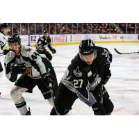 Idaho Steelheads forward Justin Parizek vs. the Utah Grizzlies