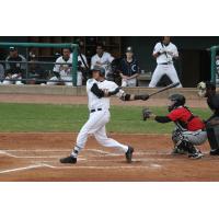 Charleston RiverDogs catcher Jason Lopez