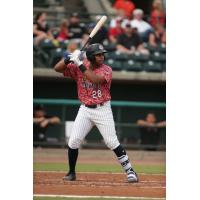 Charleston RiverDogs first baseman Dermis Garcia