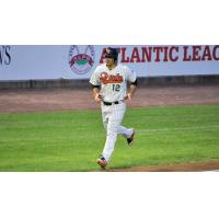 Dan Lyons of the Long Island Ducks trots home following a home run