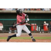 Welfrin Mateo of the Charleston RiverDogs