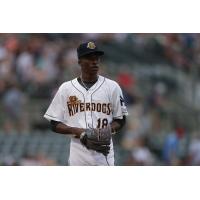 Charleston RiverDogs pitcher Reiver Sanmartin