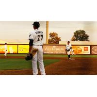 Tri-City Dust Devils in the infield