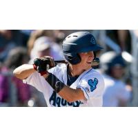 Connor Kopach of the Everett AquaSox