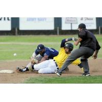 Vallejo Admirals safe at second