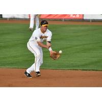 Willmar Stingers field a ball in the infield