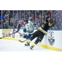 Florida Everblades defenseman Josh Wesley takes out a member of the Newfoundland Growlers