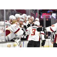 Tommy Cross receives congratulations from the Cleveland Monsters bench