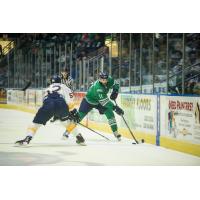 Florida Everblades right wing Grant Arnold (right) against the Norfolk Admirals